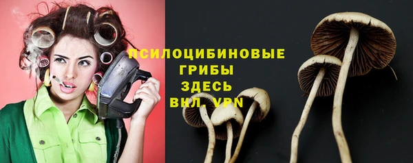 ГАЛЛЮЦИНОГЕННЫЕ ГРИБЫ Абдулино