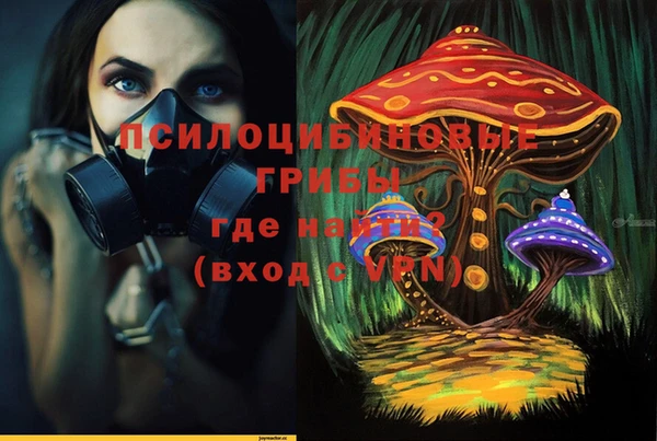 PSILOCYBIN Абинск