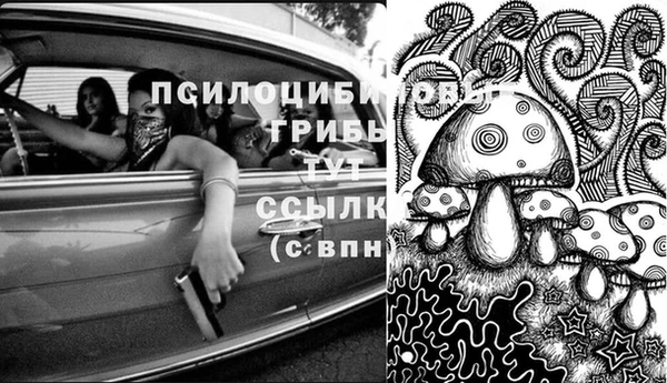 PSILOCYBIN Абинск