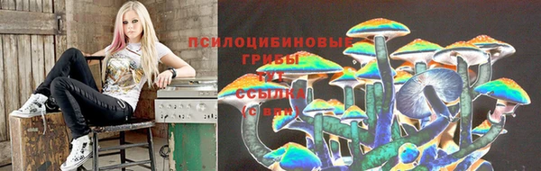 ГАЛЛЮЦИНОГЕННЫЕ ГРИБЫ Абдулино
